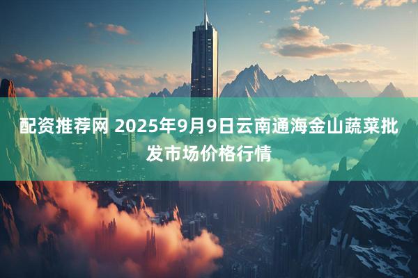 配资推荐网 2025年9月9日云南通海金山蔬菜批发市场价格行情